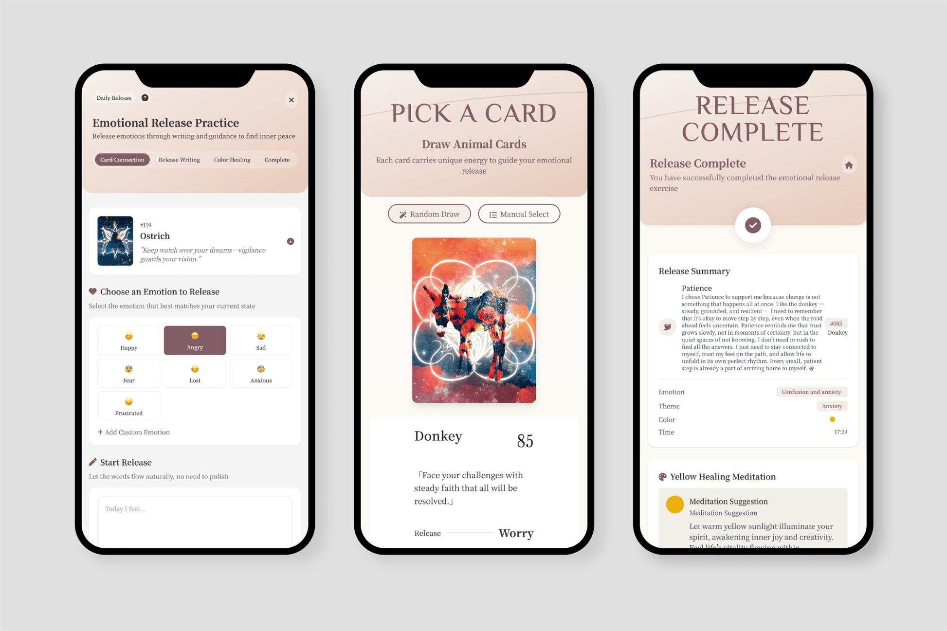 Spiritual Flow The Laws of Animals ✴︎ Deck Special For You Set ✴︎ - Spiritual flow