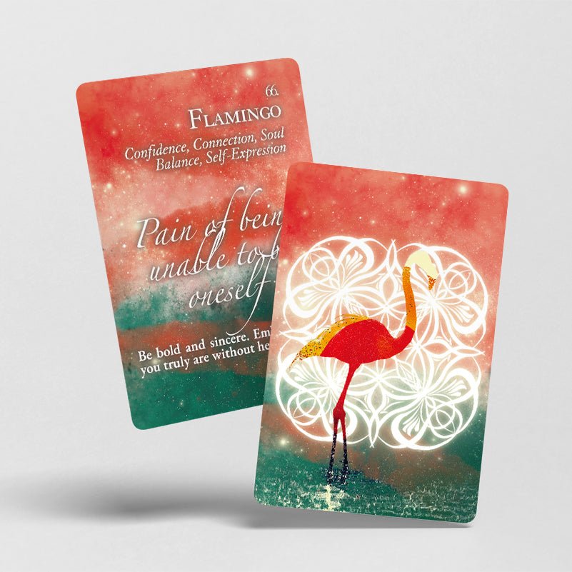 Spiritual Flow The Laws of Animals ✴︎ Deck Special For You Set ✴︎ - Spiritual flow